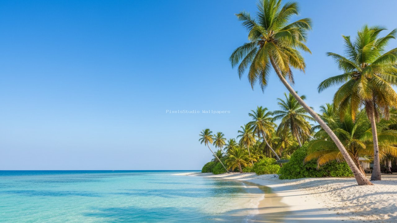 Preview of Lakshadweep Lagoon