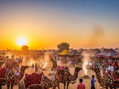 Pushkar Camel Fair